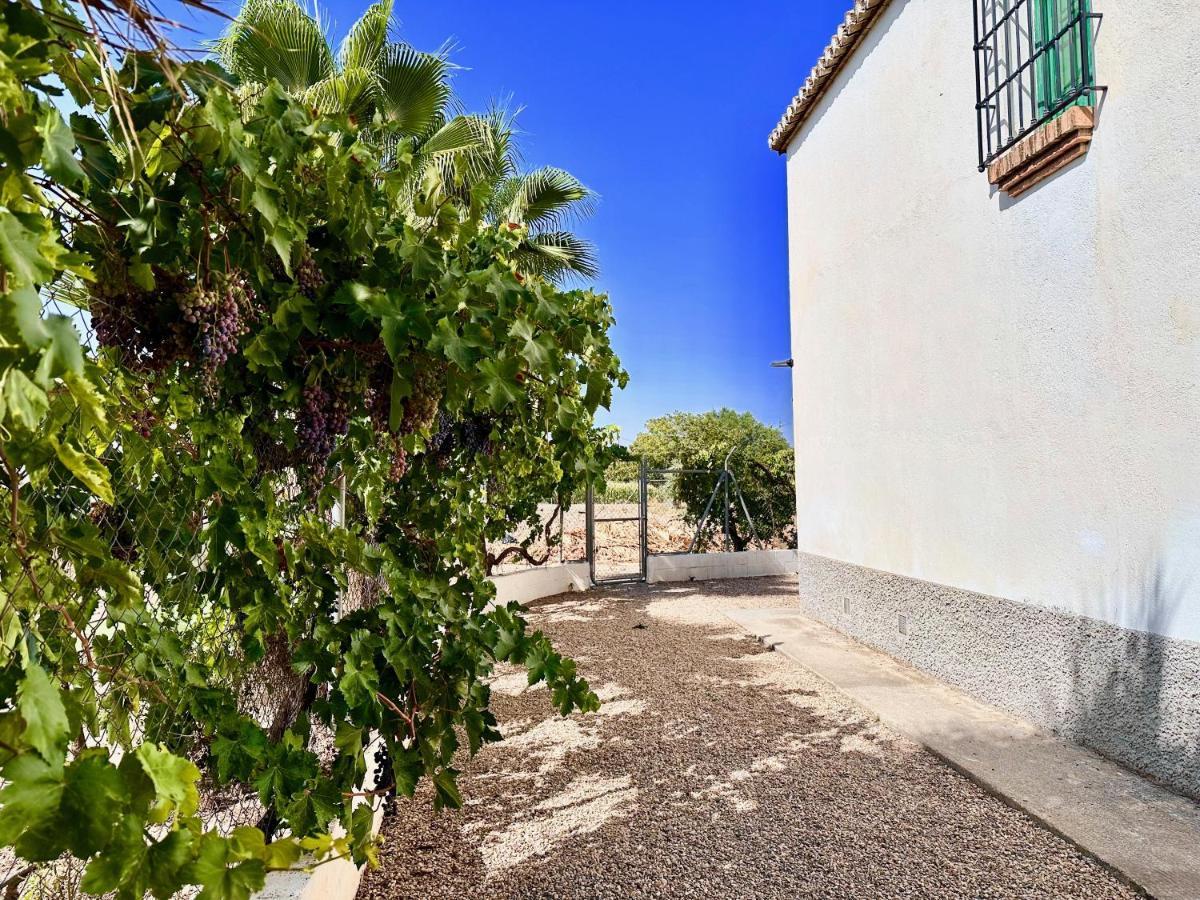 Encantador Cortijo La Emiliana A 5 Minutos Del Centro Churriana de la Vega Εξωτερικό φωτογραφία