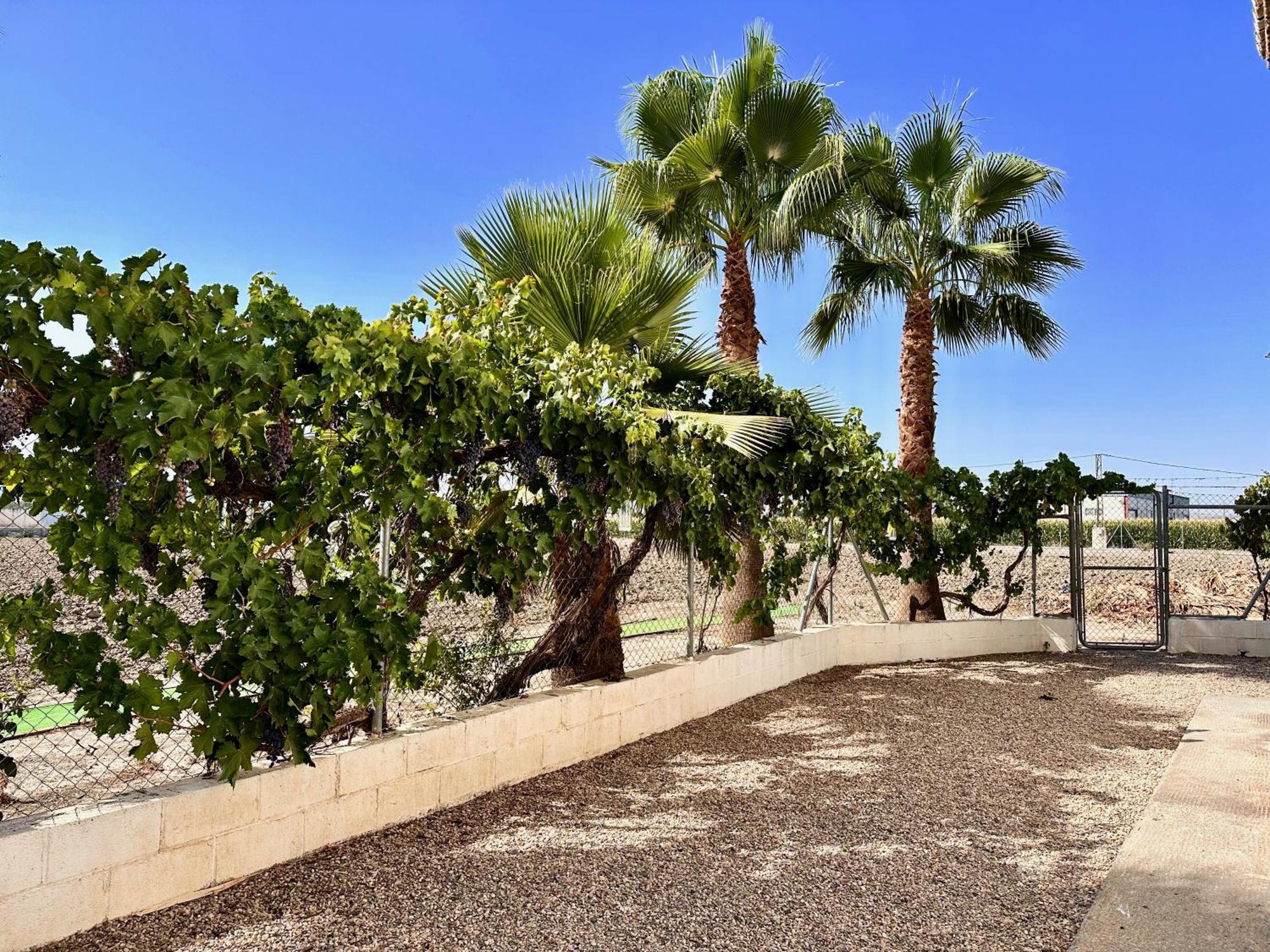 Encantador Cortijo La Emiliana A 5 Minutos Del Centro Churriana de la Vega Εξωτερικό φωτογραφία